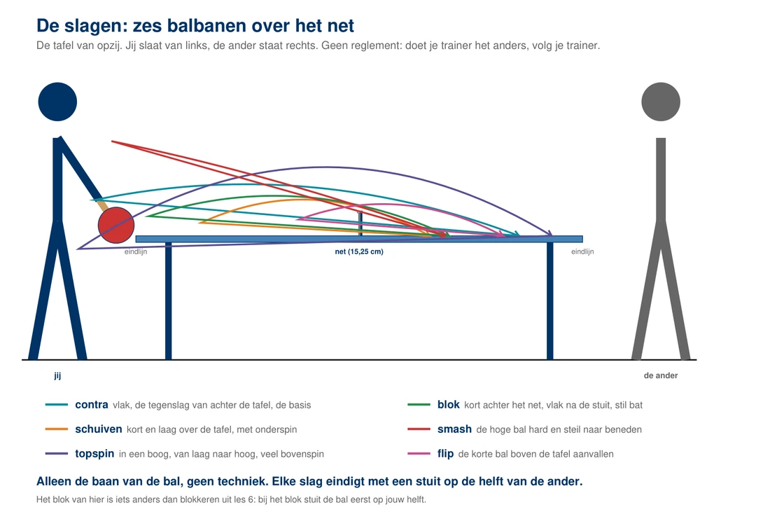 De zes slagen van tafeltennis van opzij: de contra vlak over het net, de schuifbal laag en kort, de topspin in een boog die na de stuit wegspringt, het blok kort na de stuit met een stil bat, de smash steil naar beneden en de flip kort boven de tafel